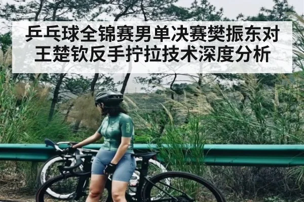 乒乓球全锦赛男单决赛樊振东对王楚钦反手拧拉技术深度分析